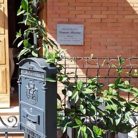 Domus Mariae