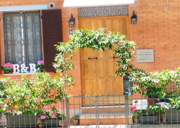 Bed & Breakfast Domus Mariae